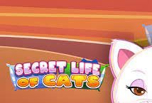 Secret Life of Cats